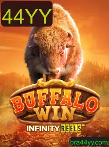 BuffaloWin: Descubra o Fascinante Universo do Jogo e Suas Regras